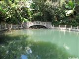 Bosque Nacional El Yunque - LUQUILLO